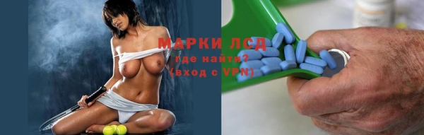 индика Богородицк