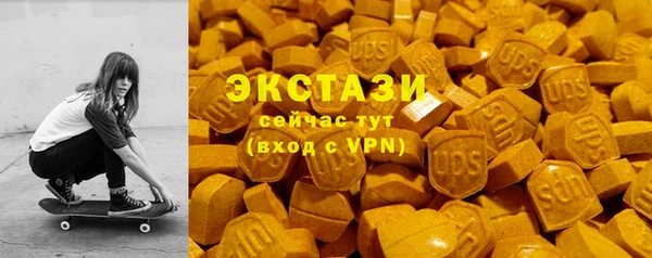 индика Богородицк