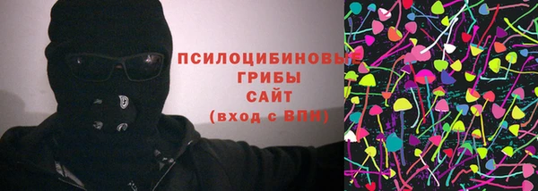 индика Богородицк